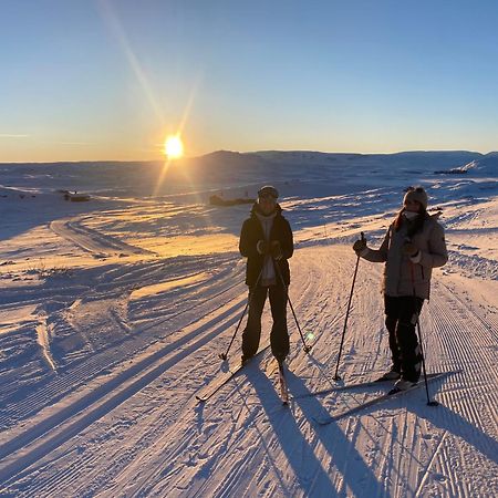 Delikat Hytte Omgitt Av Hallingdals Vakre Fjell Ål Eksteriør bilde