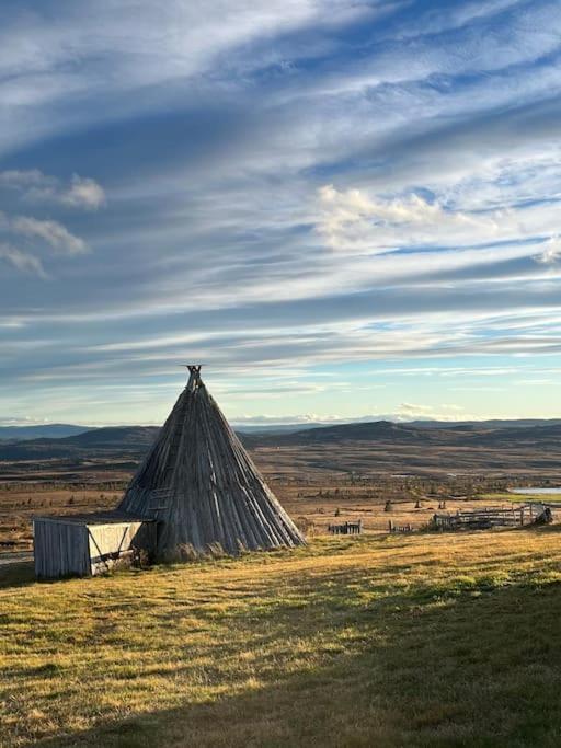 Delikat Hytte Omgitt Av Hallingdals Vakre Fjell Ål Eksteriør bilde