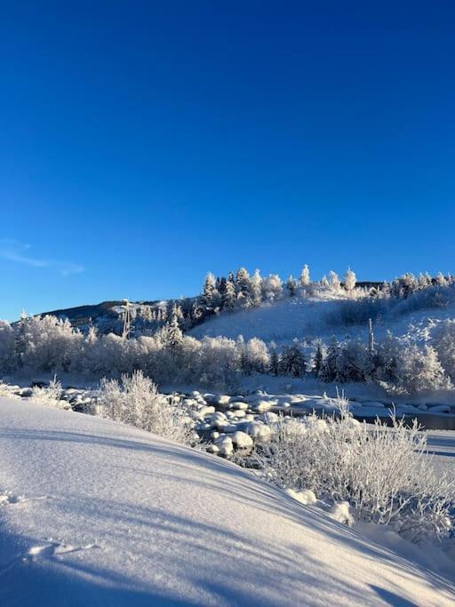 Delikat Hytte Omgitt Av Hallingdals Vakre Fjell Ål Eksteriør bilde