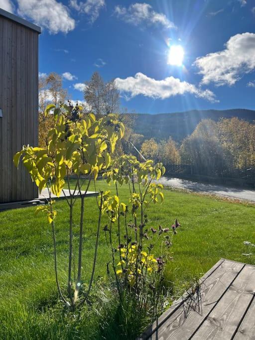 Delikat Hytte Omgitt Av Hallingdals Vakre Fjell Ål Eksteriør bilde